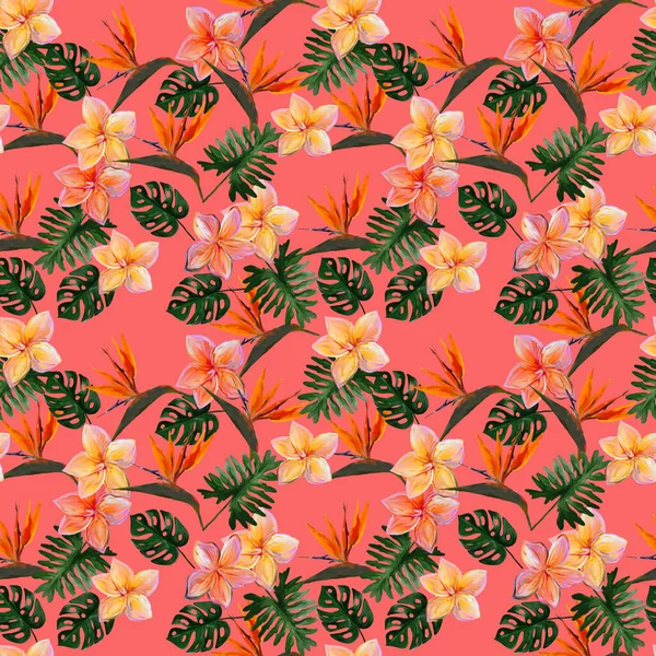 Plumeria ile kusursuz tropikal desen ve mercan zemininde yapraklı strelitzia. Renkli kolocasia yaprakları, filodendron, canavar desenli kusursuz desen. Egzotik duvar kağıdı. Hawaii tarzı..