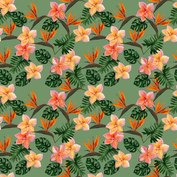 ピスタチオの背景に葉を持つプルメリアとストレリッツィアとシームレスな熱帯パターン コロシア フィロデンドロン モンスターのカラフルな葉を持つシームレスなパターン エキゾチックな壁紙 ハワイアンスタイル — ストック写真