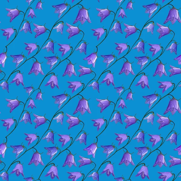 Nahtloses Muster Mit Glockenblumen Campanula Blüten Auf Hellblauem Hintergrund Floraler — Stockfoto