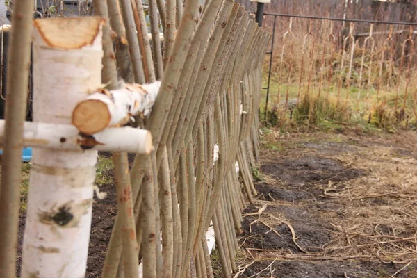Vrba tkaní jako nízká bariéra nebo zahradní plot na venkově — Stock fotografie