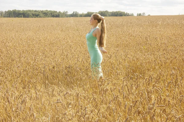 Mutlu genç kız altın olgun buğday tarlasında yürüyor — Stok fotoğraf
