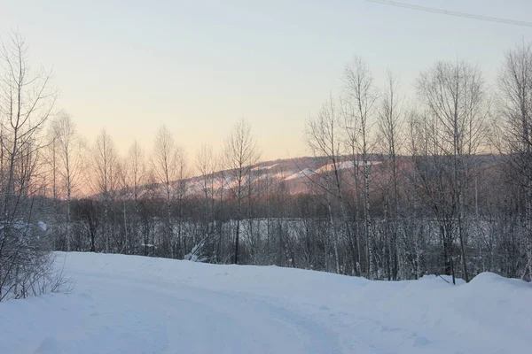 Un camino cubierto de nieve en el bosque. Árboles desnudos en el paisaje vespertino .winter —  Fotos de Stock