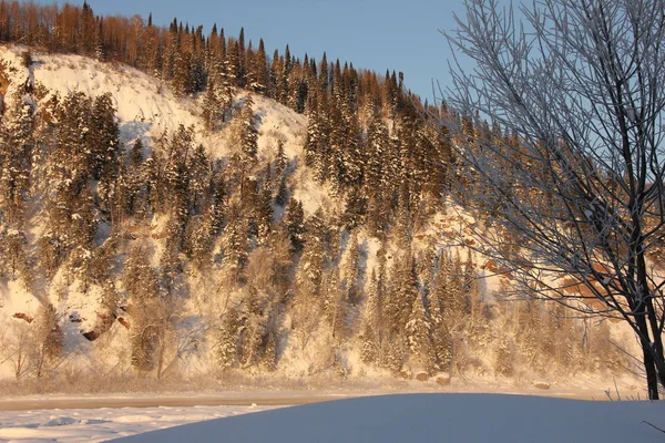 雪に覆われた丘、斜面に常緑樹、日没で。雪と霜の木の多く. — ストック写真