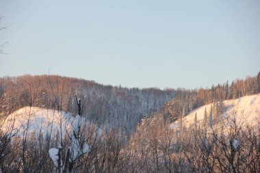 Karla kaplı tepeler, yamaçlarda yemyeşil ağaçlar, günbatımında. Bir sürü kar ve don ağacı var.. 