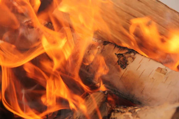 log in the flames. burning fire in the grill is large. 