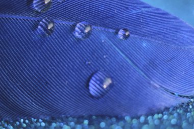 drops of water on the blue per, which lies on a shiny blue background 