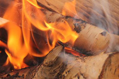 log in the flames. burning fire in the grill is large. 