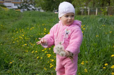 Pembe elbiseli küçük bir kız, sarı karahindibalı yeşil bir ormanlık alana karşı beyaz karahindiba tutuyor. .