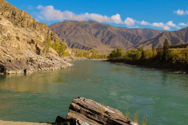 Mooie rivier tussen rotsachtige heuvels. pittoreske plaatsen in het Altai gebergte in Rusland — Stockfoto