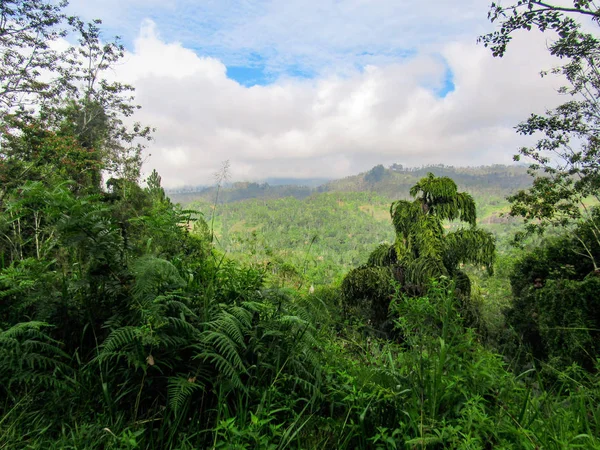 Piantagione Verde Nuwara Eliya Sri Lanka — Foto Stock