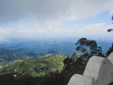 Sri Lanka 'daki çay tarlalarıyla çevrili Castlereigh rezervuarında yeşil doğal yaşam alanı.