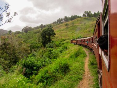 Sri Lanka 'nın dağlık bölgelerindeki çay tarlaları arasında Kandy' den tren yolculuğu manzarası