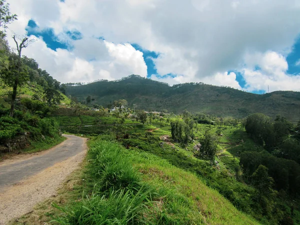Grüner Natürlicher Lebensraum Castlereigh Reservoir Umgeben Von Teeplantagen Sri Lanka — Stockfoto