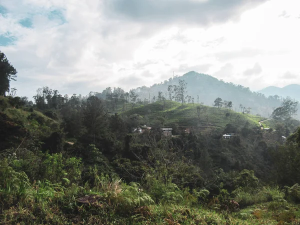 Grüner Natürlicher Lebensraum Castlereigh Reservoir Umgeben Von Teeplantagen Sri Lanka — Stockfoto