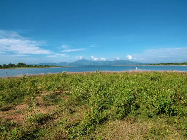 Grüner Natürlicher Lebensraum Castlereigh Reservoir Umgeben Von Teeplantagen Sri Lanka — Stockfoto