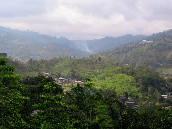 Habitat Naturale Verde Castlereigh Serbatoio Circondato Piantagioni Sri Lanka — Foto Stock