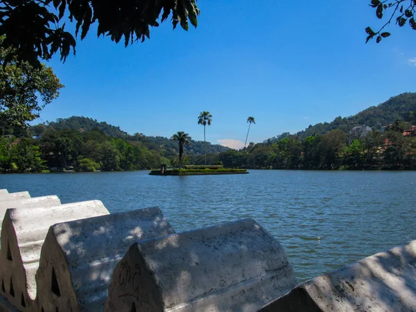 Habitat Naturel Vert Réservoir Castlereigh Entouré Plantations Thé Sri Lanka — Photo