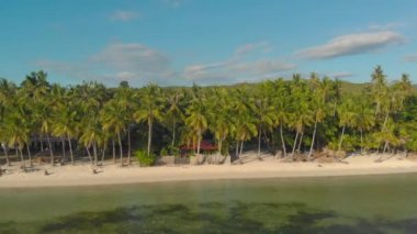 Filipinler, Siquijor Adası 'ndaki San Juan' da palmiye ağaçlarıyla beyaz kumlu sahilin havadan görünüşü. Okyanusta bambu sallı yaz titreşimleri