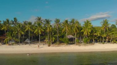 Filipinler, Siquijor Adası 'ndaki San Juan' da palmiye ağaçlarıyla beyaz kumlu sahilin havadan görünüşü. Okyanusta bambu sallı yaz titreşimleri