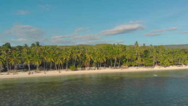 Uitzicht Vanuit Lucht Het Witte Zandstrand Met Palmbomen Bij San — Stockvideo