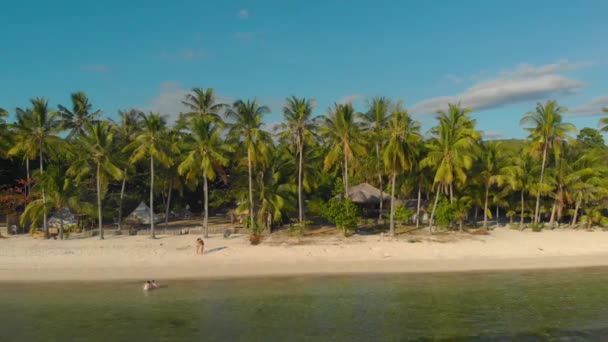 菲律宾锡基焦岛圣胡安白沙滩与棕榈树的空中景观 夏天在海上用竹筏游玩 — 图库视频影像