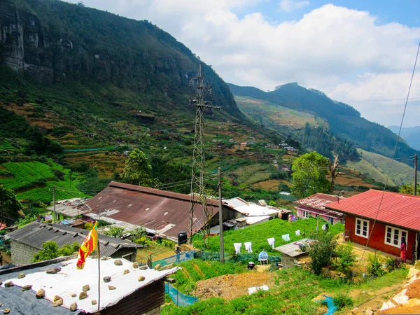 Teeplantagen Und Grüne Natur Kleinem Dorf Inmitten Der Berge Sri — Stockfoto