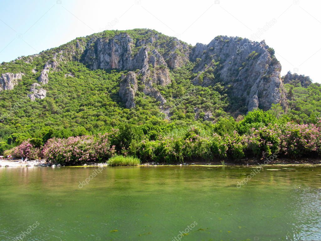 Green landscape and the river at Ancient city of Olympos in Antalya, Turkey 