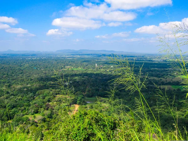 Piantagioni Verde Paesaggio Rurale Della Parte Centrale Dello Sri Lanka — Foto Stock