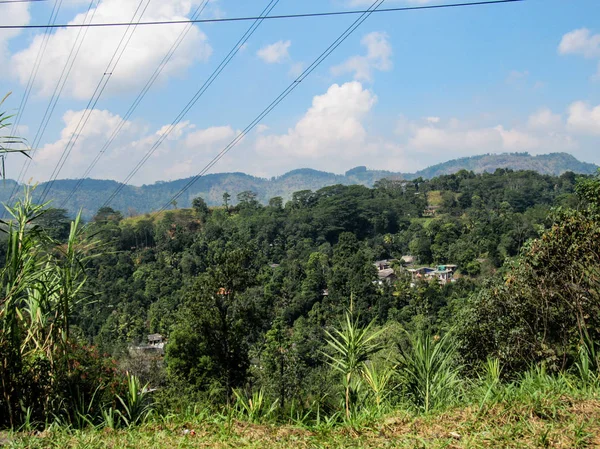 Grüne Teeplantagen Und Die Ländliche Landschaft Zentralen Teil Von Sri — Stockfoto