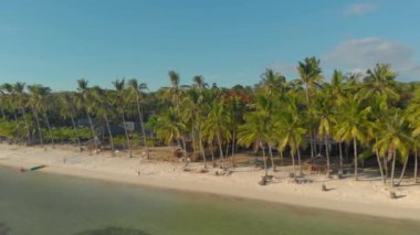 Filipinler, Siquijor Adası 'ndaki palmiyelerle çevrili egzotik kıyı şeridi manzarası.