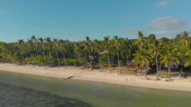 Filipinler, Siquijor Adası 'ndaki palmiyelerle çevrili egzotik kıyı şeridi manzarası.