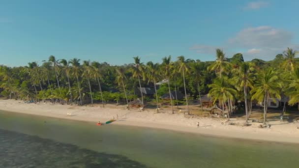 Вид Воздуха Экзотическое Побережье Окружении Пальм Острове Сикихор Филиппины — стоковое видео