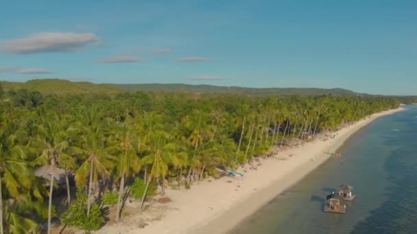 Krajobraz Lotniczy Egzotycznej Plaży Mnóstwem Palm Wyspie Siquijor Filipinach Linia — Wideo stockowe
