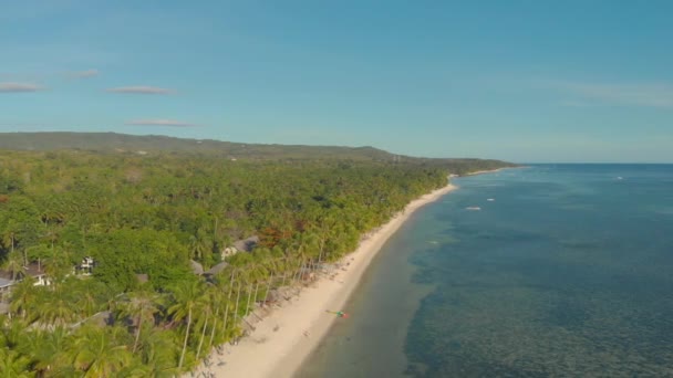 Filipinler Deki Siquijor Adası Nda Bir Sürü Palmiye Ağacı Olan — Stok video