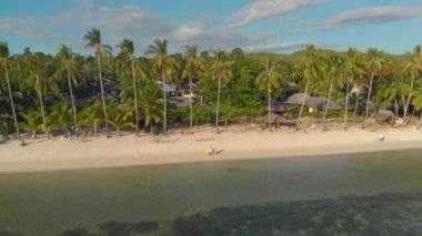 Filipinler 'in Siquijor Adası' ndaki San Juan 'da tropikal palmiye ağaçları tarafından çevrelenmiş uzun beyaz sahil kıyı şeridinin 4k hava manzarası. Beyaz kumlu plajlı yaz atmosferi