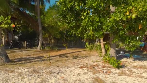Вид Повітря Екзотичне Узбережжя Оточене Пальмами Острові Сікіхор Філіппіни — стокове відео