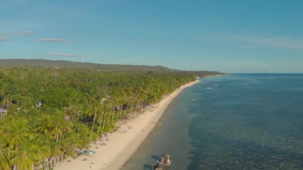 フィリピンのシキジョール島でヤシの木がたくさんあるエキゾチックなビーチの空中風景 ヤシの木に囲まれた海岸線 — ストック動画