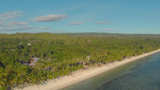 Aerial Landscape Exotic Beach Lots Palm Trees Siquijor Island Philippines — Stock Video