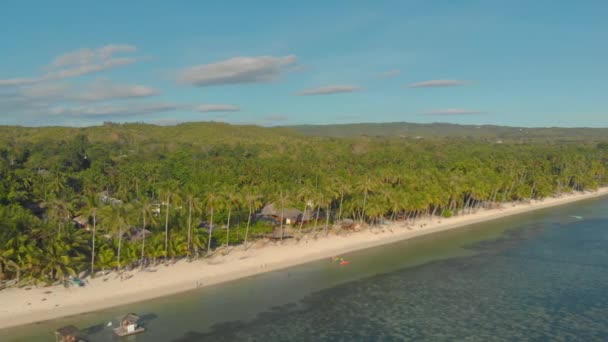 Sensaciones Verano Playa Rodeada Palmeras Con Balsa Bambú Océano San — Vídeo de stock