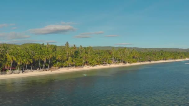 Letní Vibrace Pláži Obklopené Palmami Bambusovými Vory Oceánu San Juan — Stock video