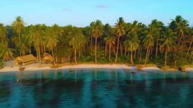 Gün batımında Candaraman Adası 'ndaki cennet boyunca sıralanan tropik sahil ve palmiye ağaçlarının 4k hava manzarası. Balabac, Palawan Filipinleri 'nde küçük ada manzaralı tatil konsepti