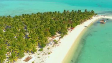 Balabac Palawan Filipinleri 'ndeki Aonok Adası' nda palmiye ağaçlarının 4k gökyüzü manzarası beyaz kumsal kıyısı boyunca dizilmiş ve bitmeyen turkuaz su. Palmiye ağaçları ve beyaz kumları olan tropik bir ada.