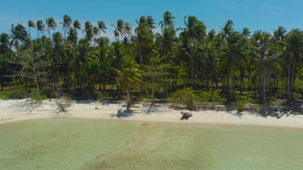 Paisaje Aéreo Playa Arena Blanca Agua Turquesa Rodeado Palmeras Isla — Vídeo de stock