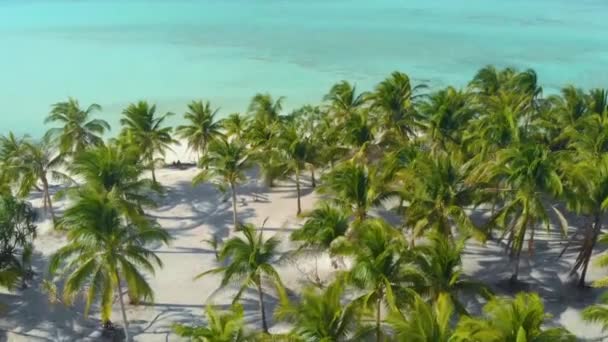 4K白い砂浜の海岸に沿ってヤシの木の空中ビューとバラバックパラワンフィリピンのオヌック島の無限のターコイズブルーの水が並んでいます ヤシの木の森と白い砂と熱帯島 — ストック動画