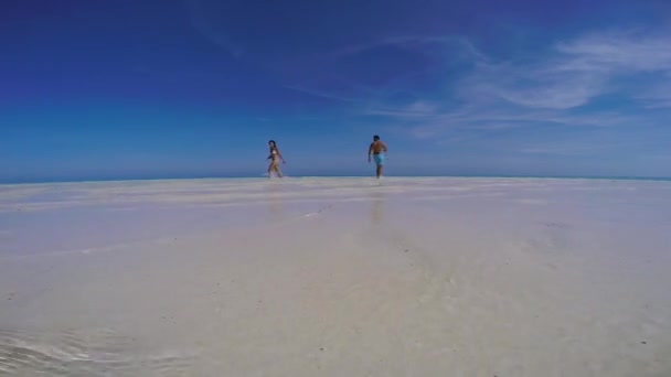 バラバック パラワン フィリピンのMansalangan砂州で澄んだ青い空の砂州で遊んでいる素敵な旅行のカップル 白い砂州のターコイズブルーの水 — ストック動画