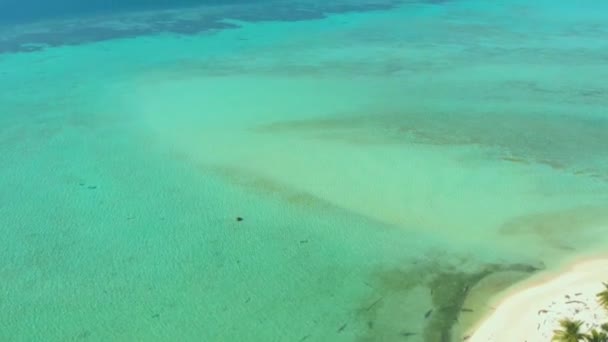 Тропічний Острів Білим Пляжем Пальмами Нескінченною Бірюзовою Водою Видом Коралові — стокове відео