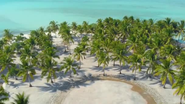 Balabac Palawan Filipinleri Ndeki Aonok Adası Nda Palmiye Ağaçlarının Gökyüzü — Stok video