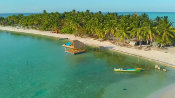 Luchtfoto Van Palmbomen Staan Opgesteld Langs Witte Zandkust Eindeloos Turquoise — Stockvideo