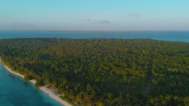 Aerial Landscape Tropical Coast Palm Trees Line Paradise Candaraman Island — Stock Video