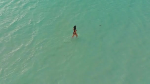Aerial View Woman Jogging Alone Turquoise Water Endless White Sandbank — Stock Video